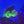 2hd ultra splatter hammer coral #8