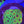 Green phase fascination favia web 9