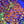 Zoa colony rock combo 1
