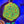 Fascination Favia Web5