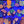 Bulk buy acan frags - buy 4 get one free