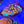 Rainbow skittles favia web6