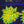 God type torch #4