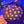 skittles favia, web2