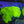 Web 12 highlighter wall hammer colony