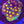 Rainbow skittles favia web8