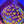 Rainbow skittles favia web6