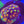 Rainbow skittles favia web8