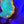 Orange rim rainbow chalice web10