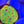 Fascination Favia Web5