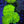 Web 12 highlighter wall hammer colony