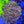 Web 11 gold opaline wall hammer colony