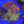 Zoa colony rock combo 1