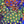 Zoa colony rock combo 1