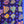 Bulk buy acan frags - buy 4 get one free