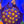 skittles favia, web2