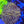 Web 11 gold opaline wall hammer colony