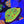 Fascination Favia Web5